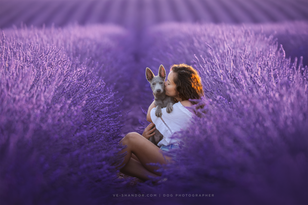 ľudia people v&scaron;etko all